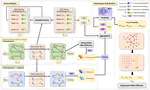 Parallel Graph Learning with Temporal Stamp Encoding for Fraudulent Transactions Detections