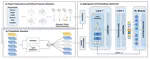Subgraph Patterns Enhanced Graph Neural Network for Fraud Detection